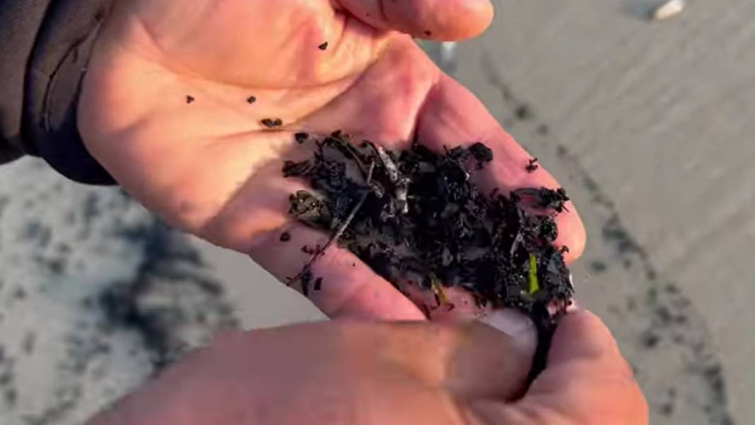 Çanakkale'deki büyük yangının izi Edirne'de: Kıyı şeridi küllerle kaplandı 3